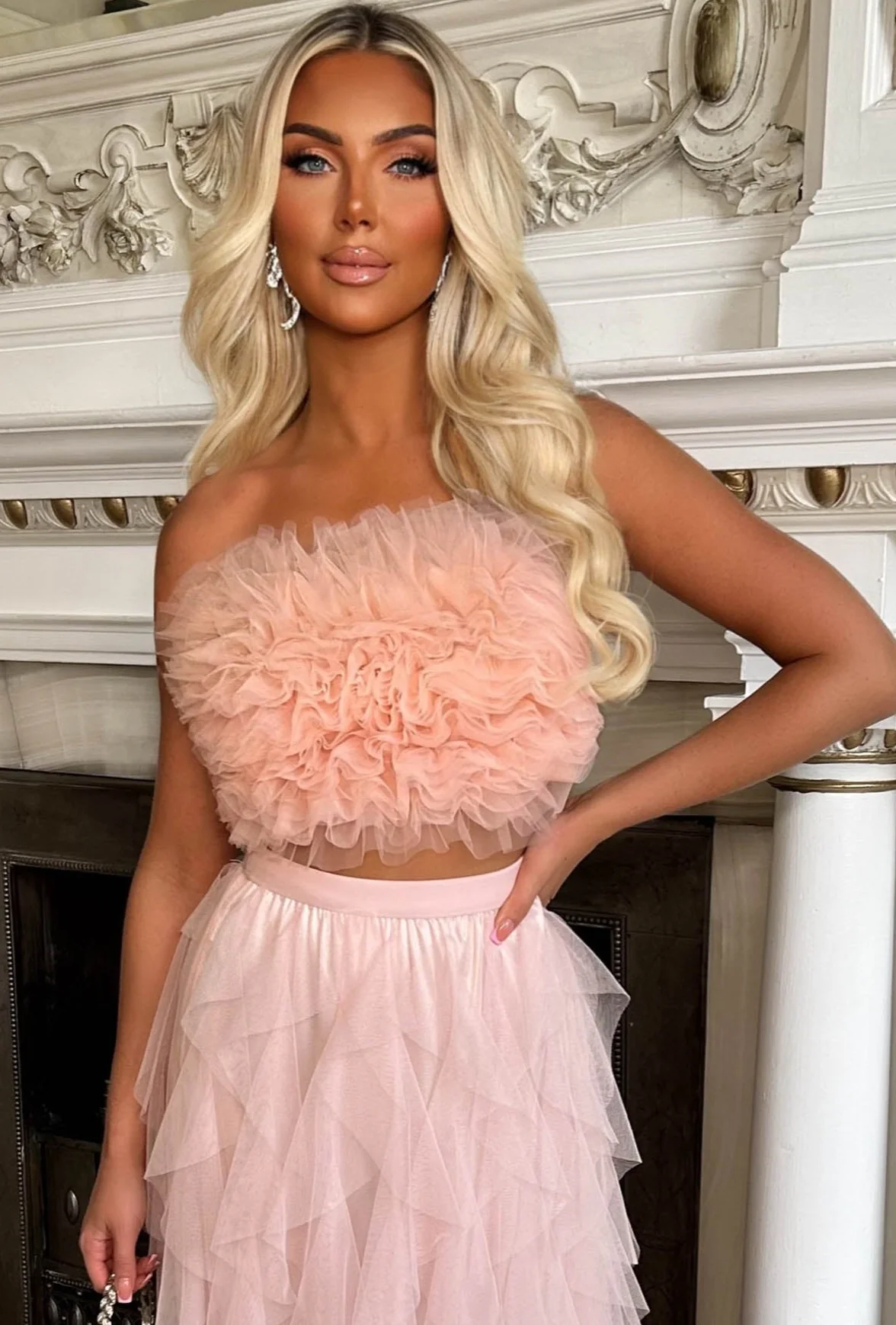 Wild Bloom Blush Pink Mesh Ruffle Crop Top